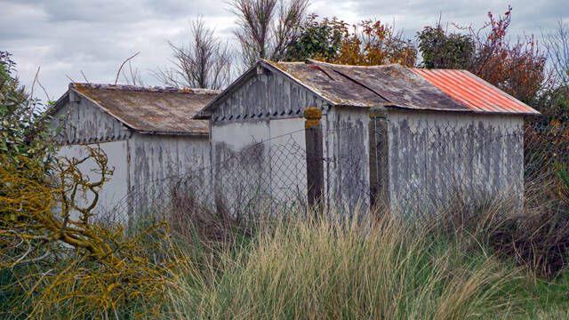 p1040201-standard.jpg