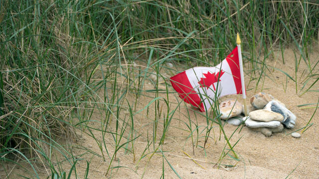 p1040219-standard.jpg