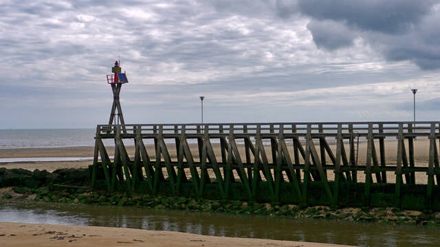 p1040221-standard.jpg