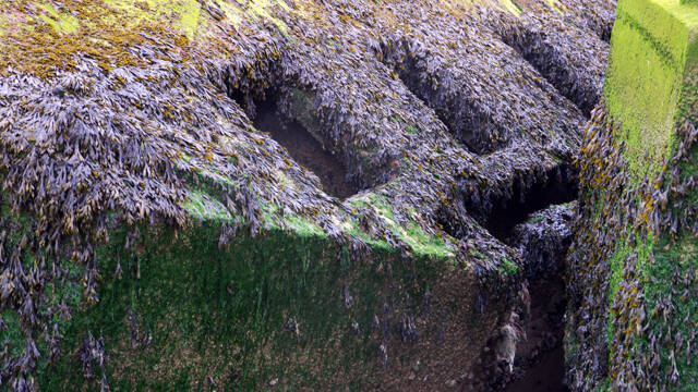 p1040250-standard.jpg