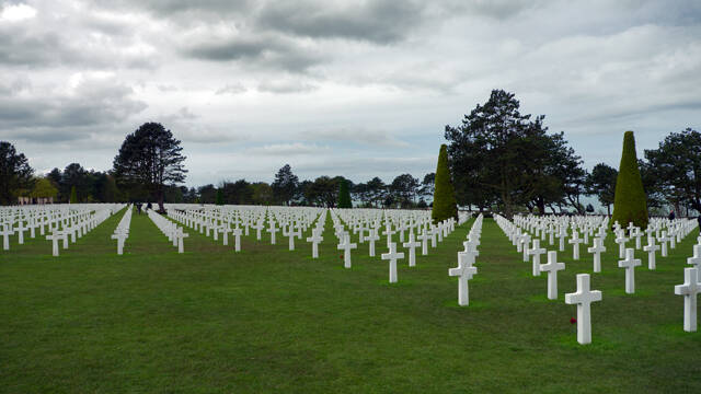 p1040261-standard.jpg