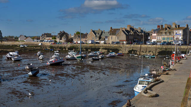 p1040357-standard.jpg
