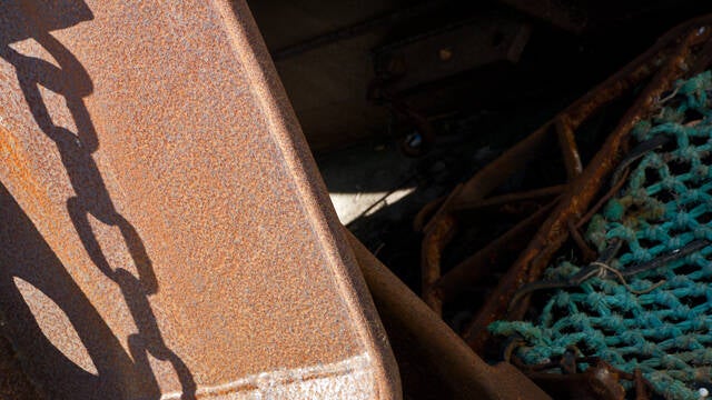 p1040366-standard.jpg