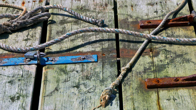 p1040367-standard.jpg
