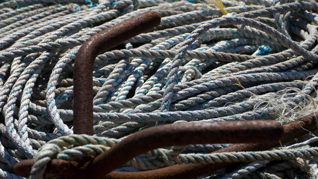 p1040379-standard.jpg