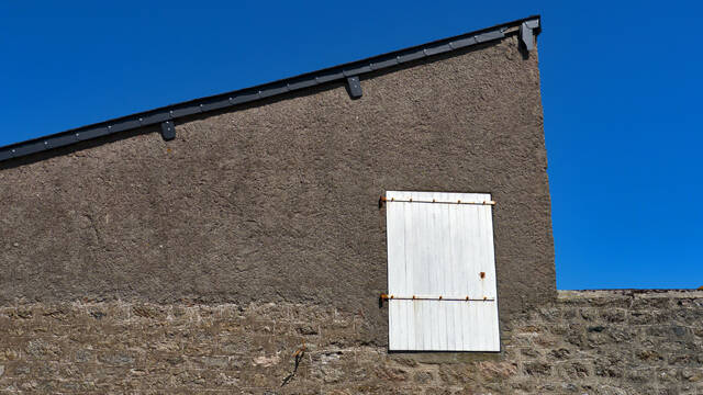 p1040403-standard.jpg