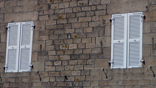 p1040425-standard.jpg