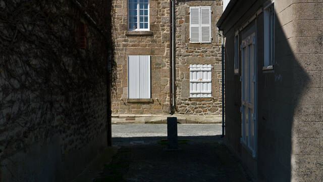 p1040426-standard.jpg
