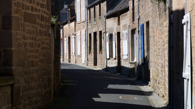 p1040431-standard.jpg