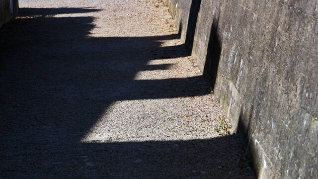 p1040446-standard.jpg