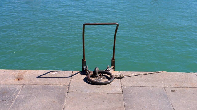 p1040449-standard.jpg