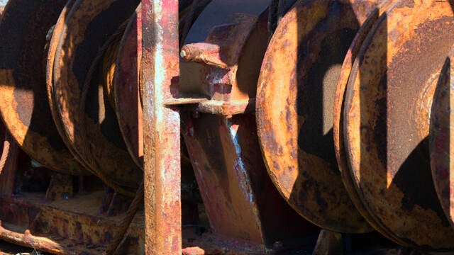 p1040460-standard.jpg