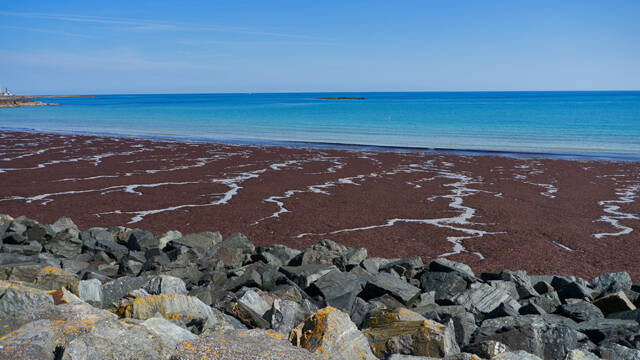 p1040462-standard.jpg
