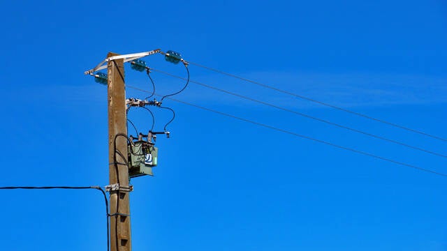 p1040468-standard.jpg