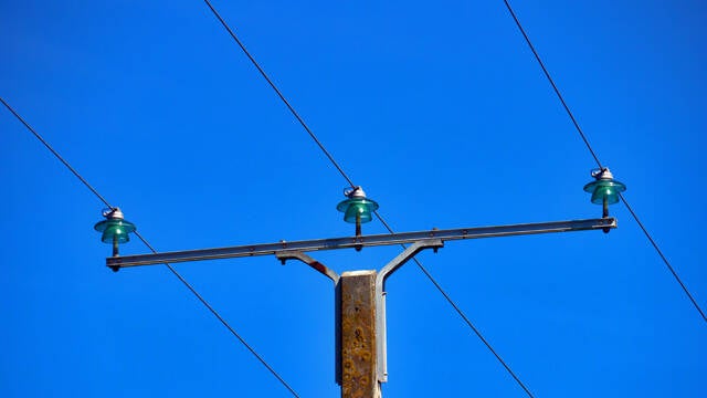 p1040471-standard.jpg