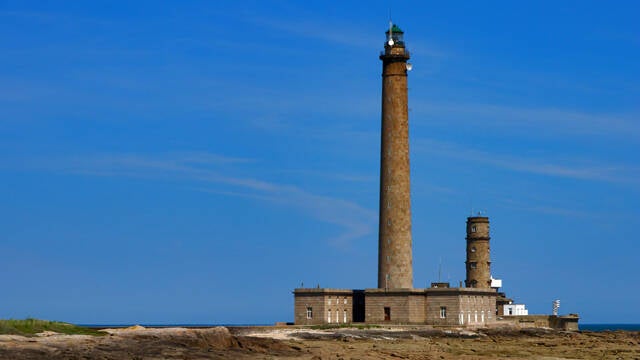 p1040476-standard.jpg