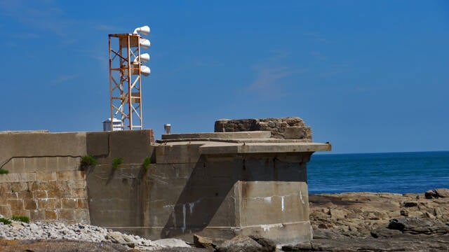 p1040498-standard.jpg