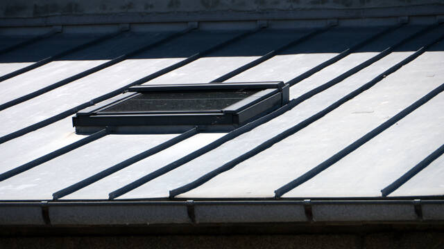 p1040504-standard.jpg