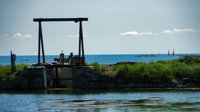 p1040537-standard.jpg