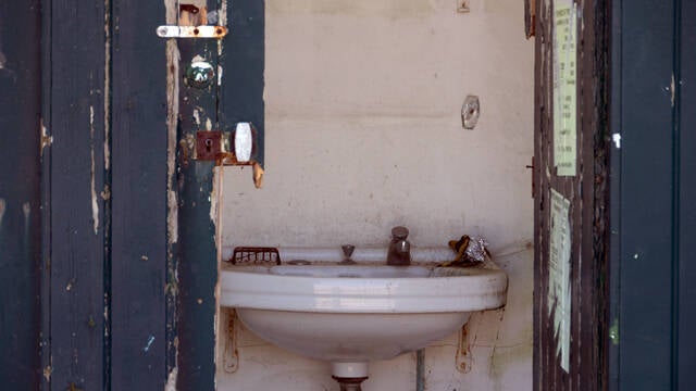 p1040599-standard.jpg