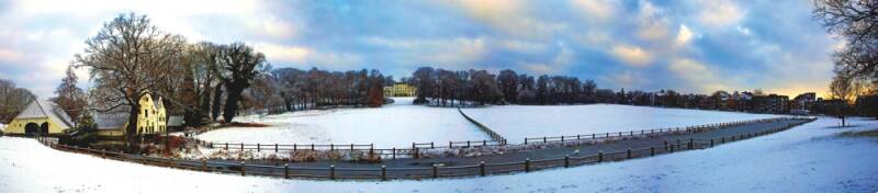 panosonsbeek7-standard-juzmvw.jpg