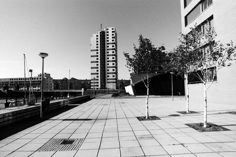 pict0354-standard-oakuoa.jpg