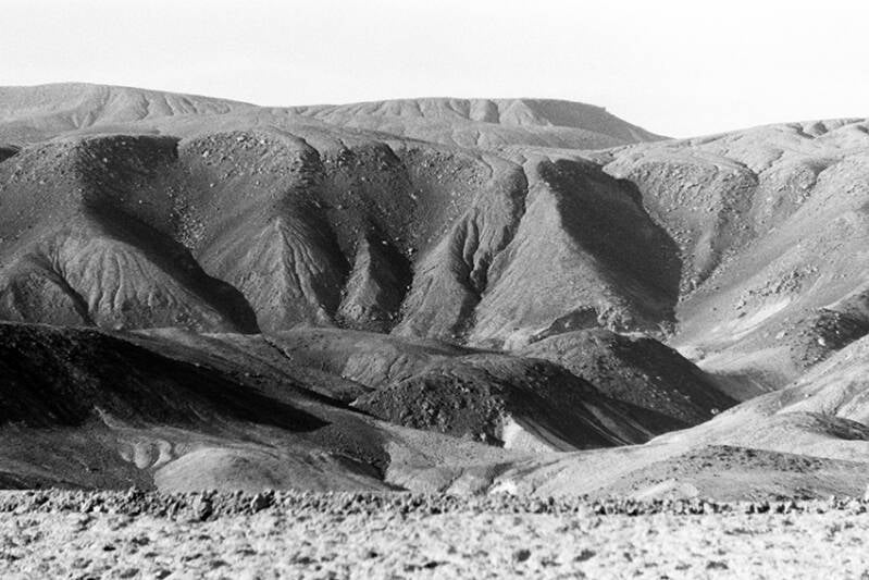pict0675-standard.jpg