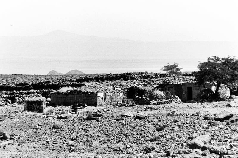pict0737-standard.jpg