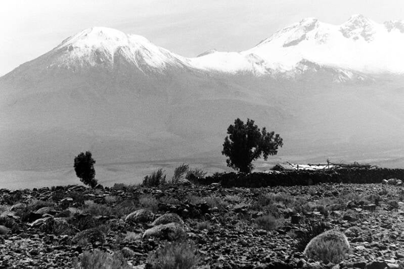 pict0739-standard.jpg