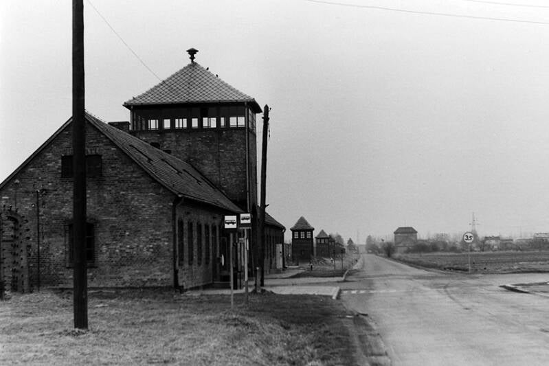 pict1994-standard-bgxbve.jpg