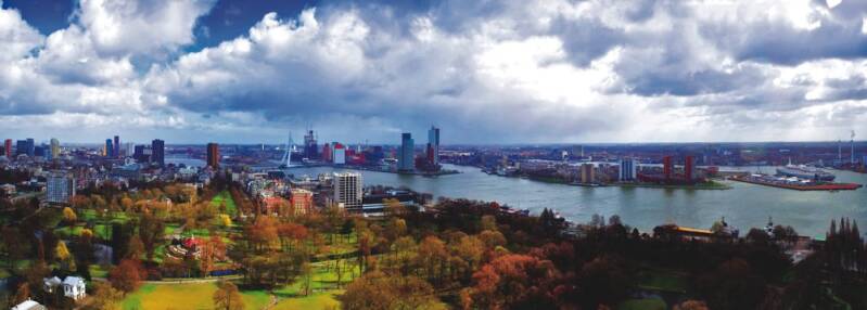 rotterdam5-standard-0pg6jw.jpg