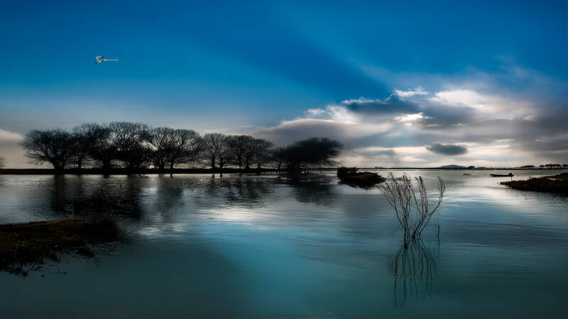 waterland-standard-6xh0rc.jpg