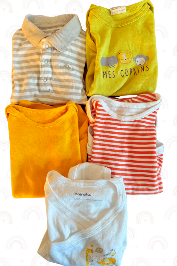 Lot 5 Bodies  Pierre-Olivier