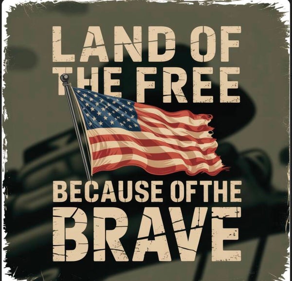 Land of the Free 2