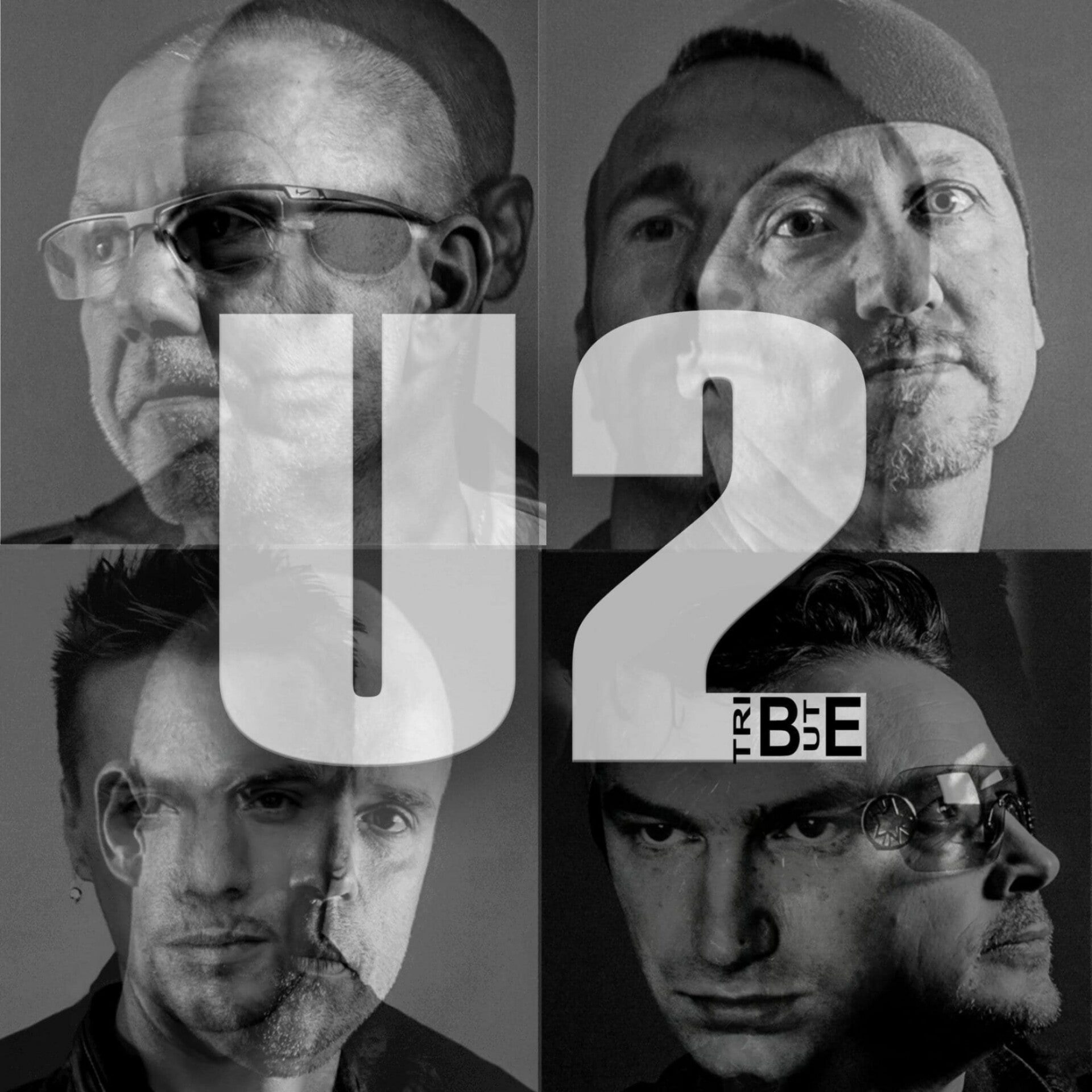 u2 tributeband