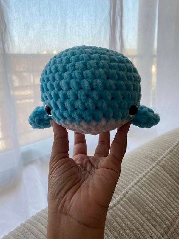 Néo la baleine 🐋
