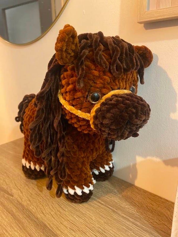 Praline le poney 🐎
