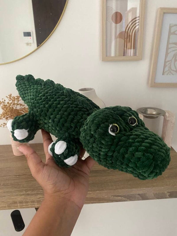 Croky le crocodile 🐊