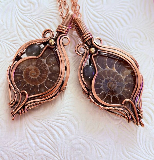 FOSSIL AMMONITE
