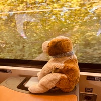 img_0310-standard.jpg