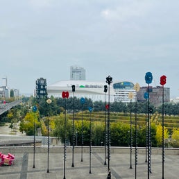 img_1474-standard-1tms2v.jpg