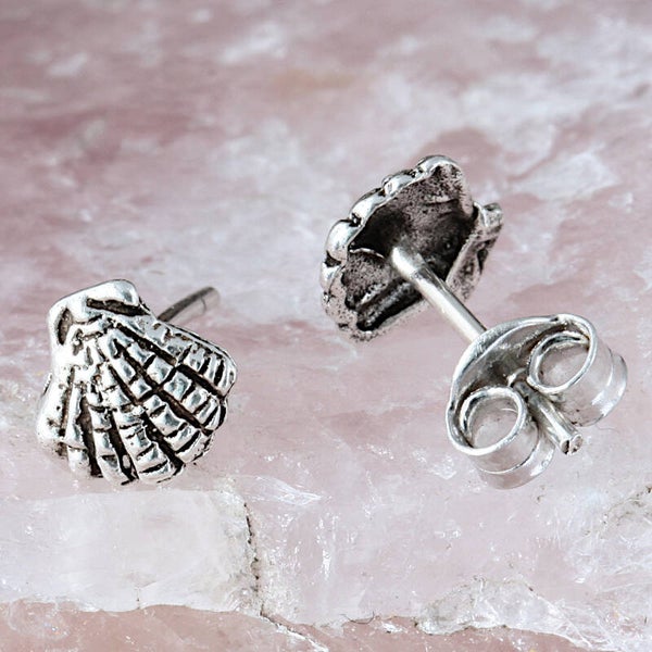 Schelp: Jacobsschelp