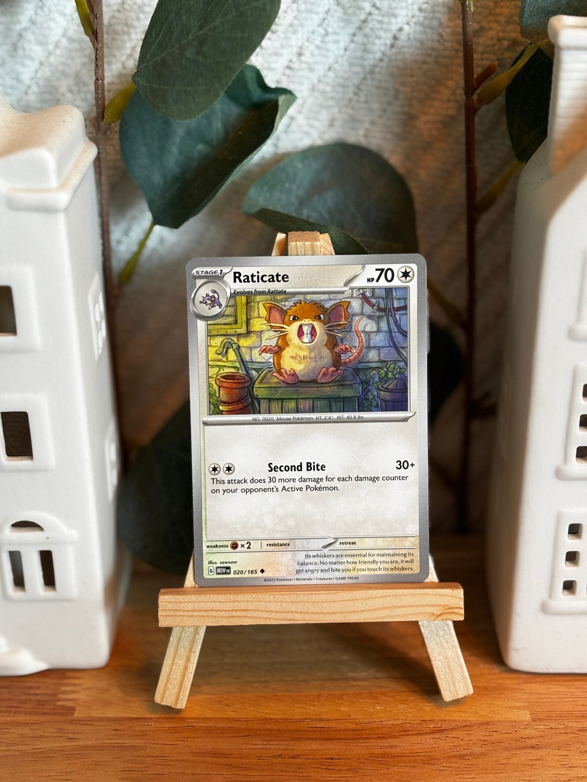 020 - Raticate