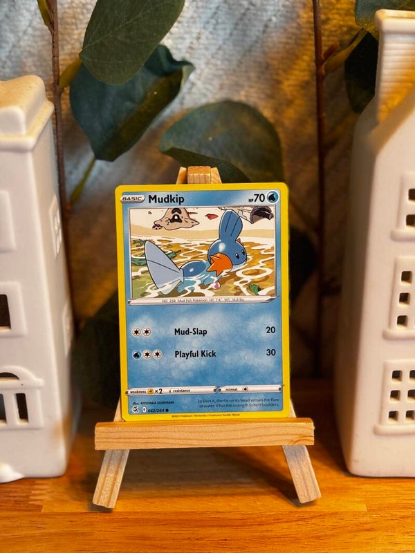 258 - Mudkip