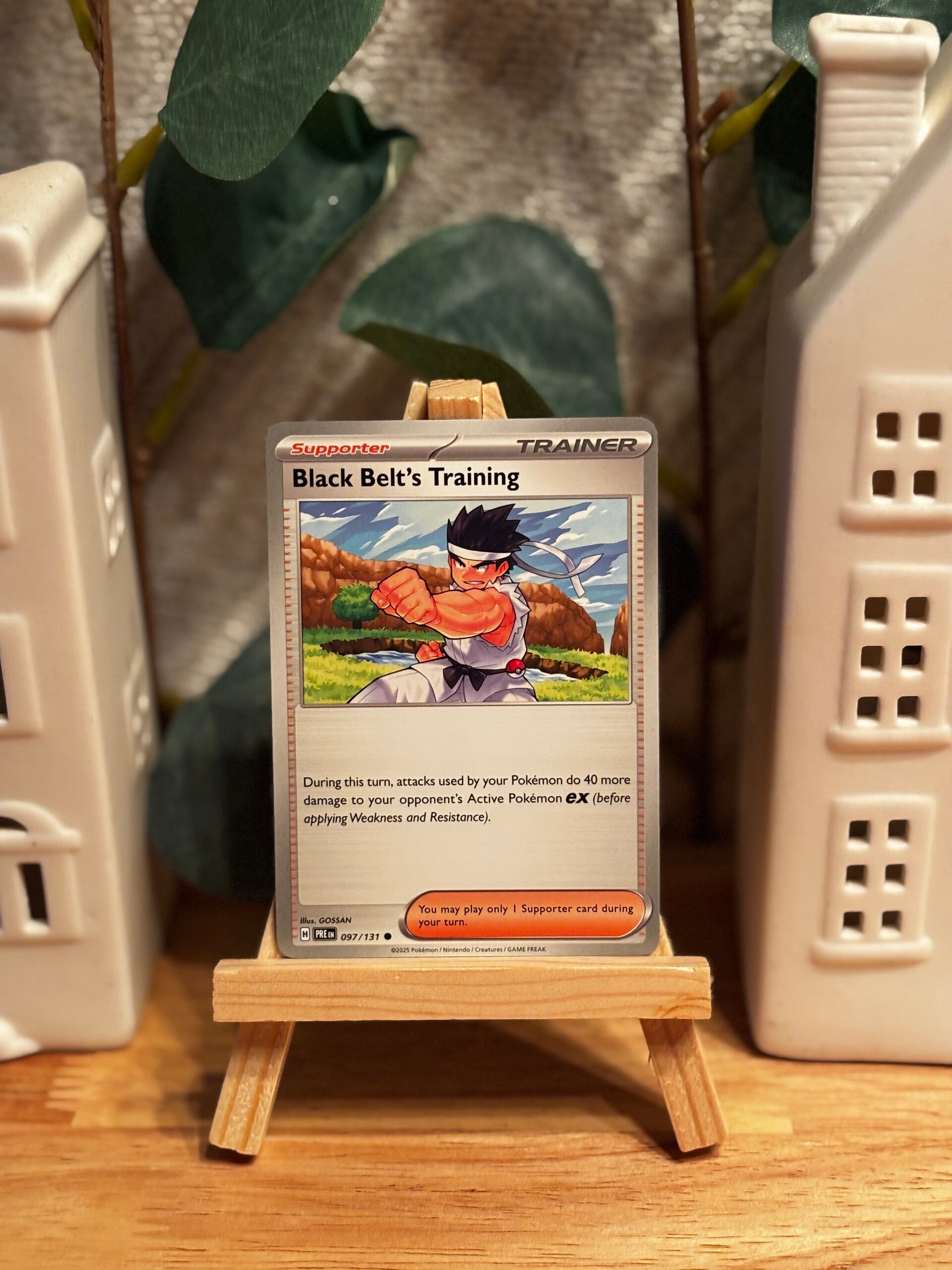 Trainer: Black Belt Training