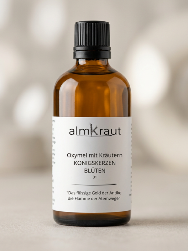 Königskerzen-Oxymel - Unterstützung der Atemwege sowie Reinigung und Harmonisierung des Lymphsystems