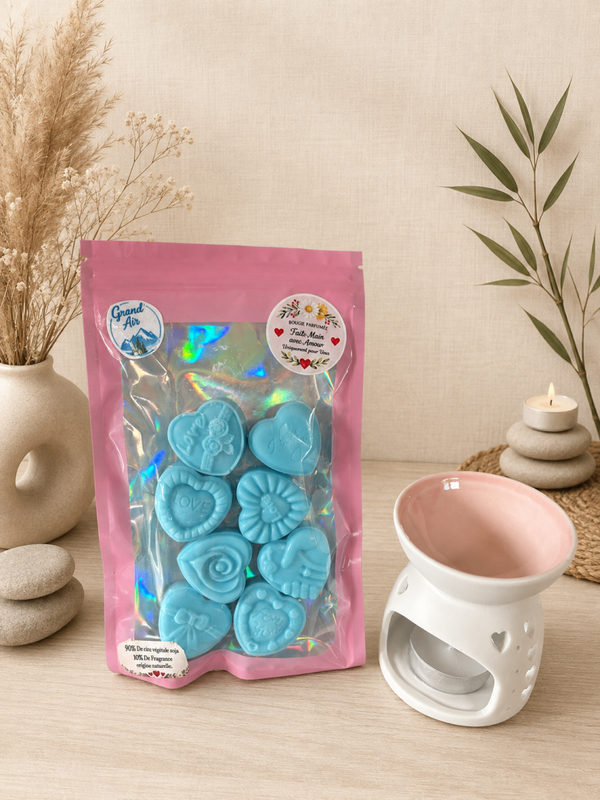 Brûleur + Sachet de fondants
