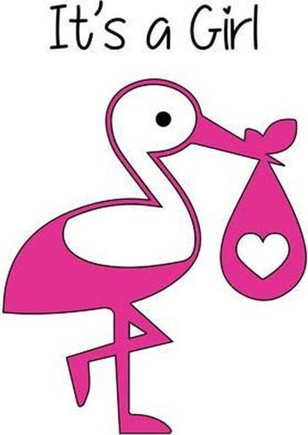 Geboorte sticker meisje 4
