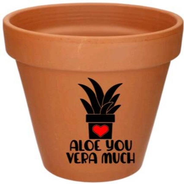 Aloe you vera much