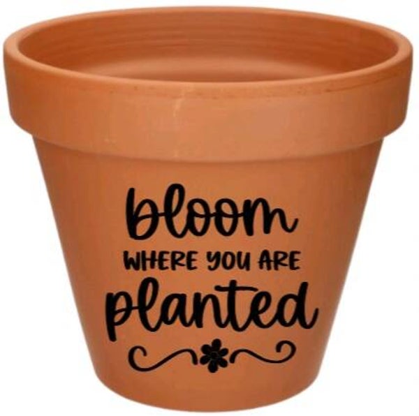 Bloom where you are planted